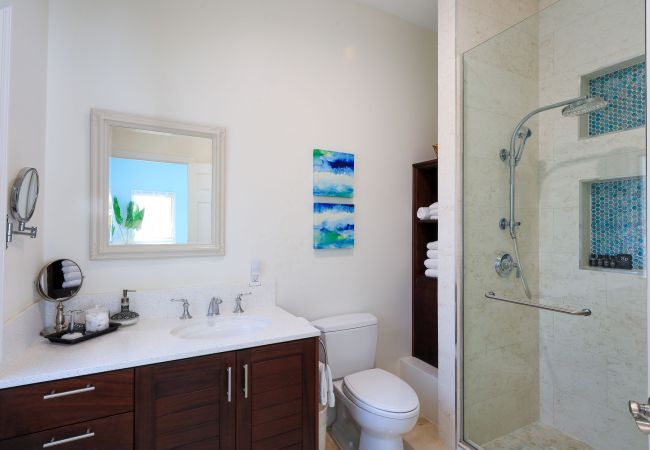 House in Grace Bay - Leeward Canal, Grace Bay - Kayaks, SUPs & Beautiful Pool - Villa Cariad House in Grace Bay - Leeward Canal, Grace Bay - Kayaks, SUPs & Beautiful Pool - Villa Cariad