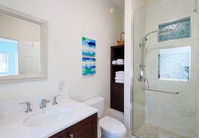 House in Grace Bay - Leeward Canal, Grace Bay - Kayaks, SUPs & Beautiful Pool - Villa Cariad House in Grace Bay - Leeward Canal, Grace Bay - Kayaks, SUPs & Beautiful Pool - Villa Cariad