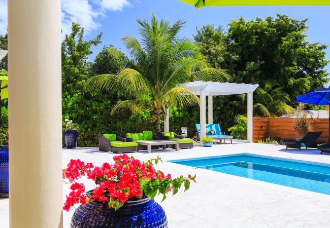 House in Grace Bay - Leeward Canal, Grace Bay - Kayaks, SUPs & Beautiful Pool - Villa Cariad House in Grace Bay - Leeward Canal, Grace Bay - Kayaks, SUPs & Beautiful Pool - Villa Cariad