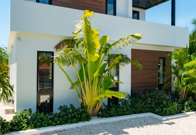 House in Grace Bay - Villa Calico, Pet-Friendly, 3 Bedroom, Grace Bay, Providenciales, Turks & Caicos House in Grace Bay - Villa Calico, Pet-Friendly, 3 Bedroom, Grace Bay, Providenciales, Turks & Caicos